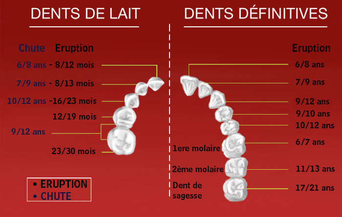 Les Dents De Lait Cabinet Dentaire Du Docteur Ameziane Miotto Virginie A Saint Jory Au Nord De Toulouse
